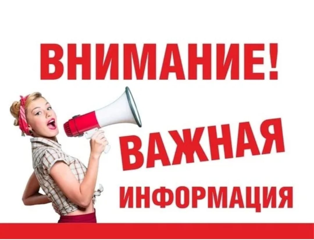 11ee13c9-3a43-4aa1-9493-fc9ff3fe9528.jpeg